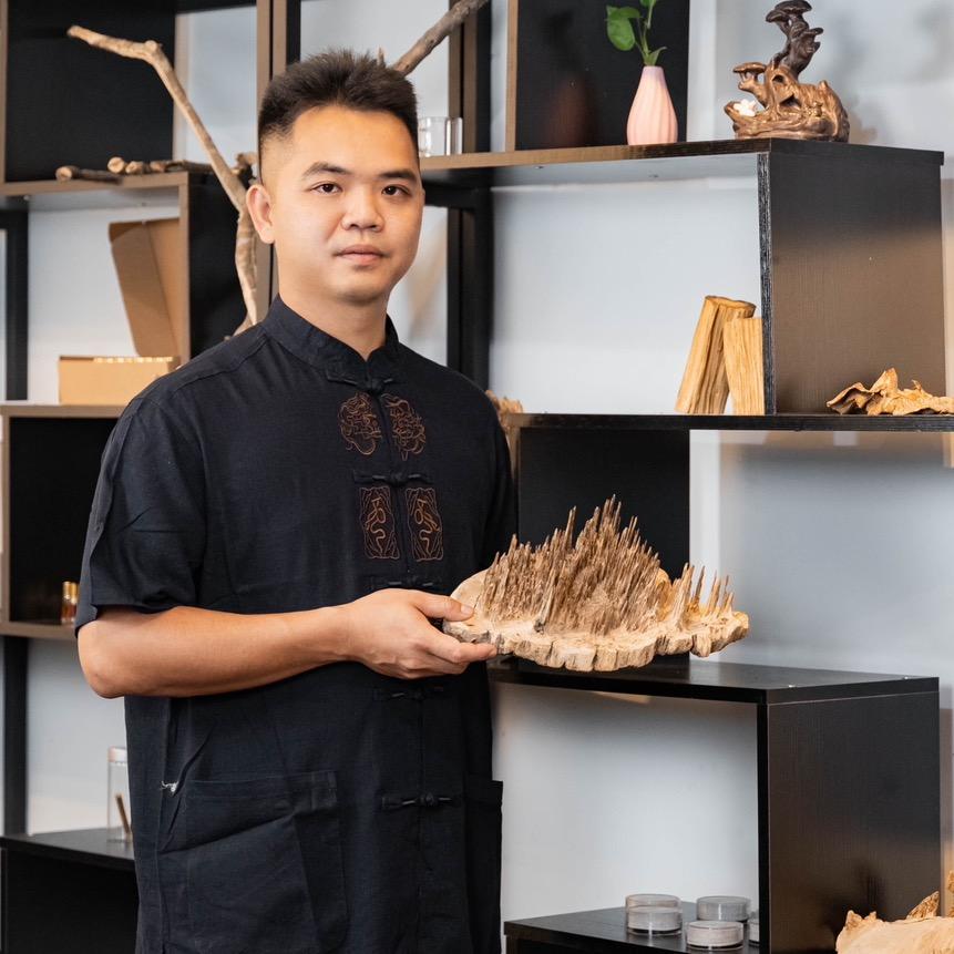 老王沉香说树