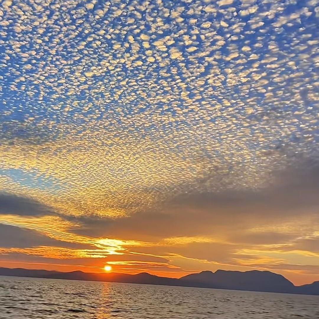 汉唐夕阳红