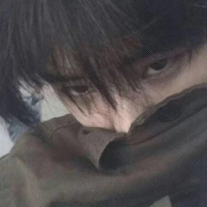 炎之猫