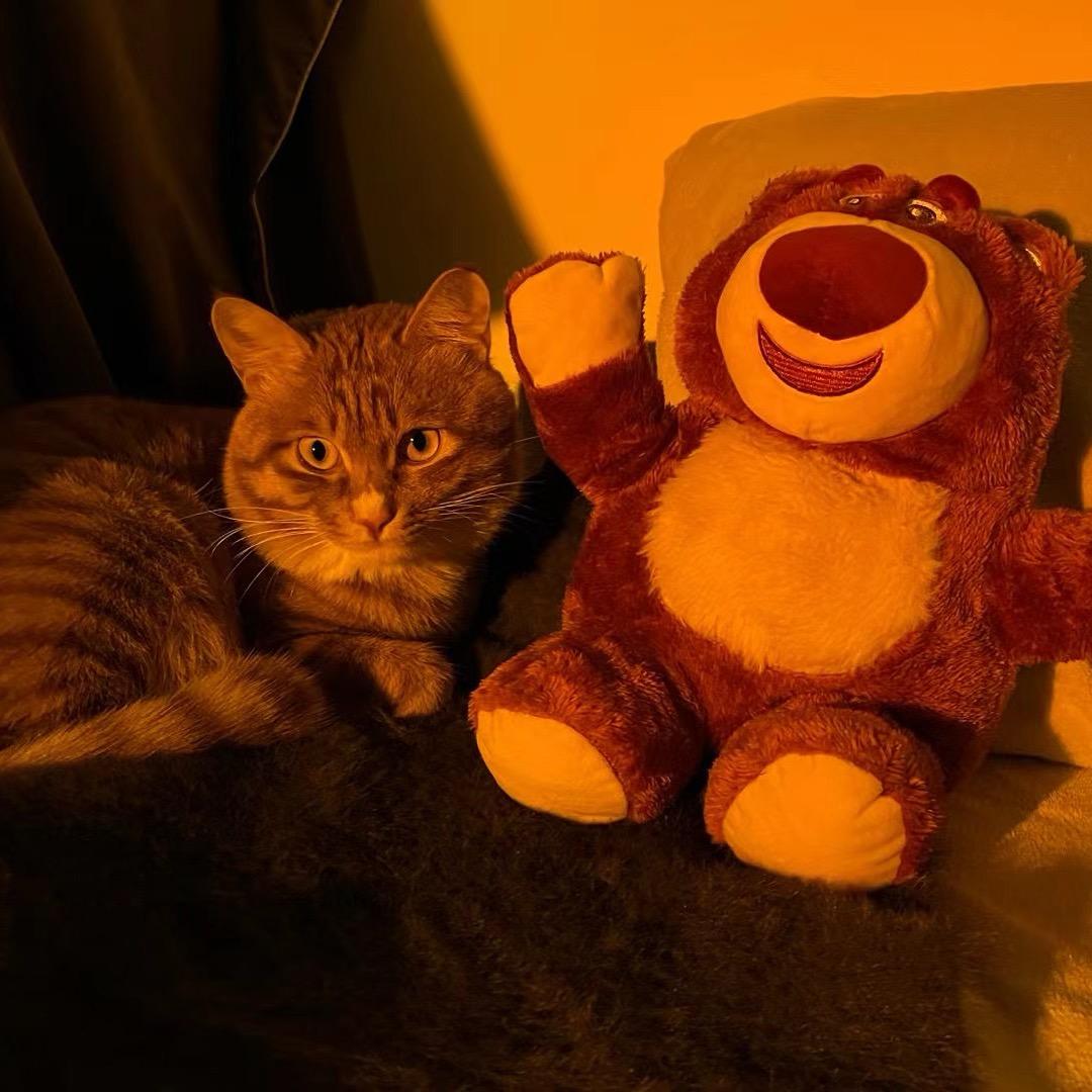 皮皮大王游戏王拆卡