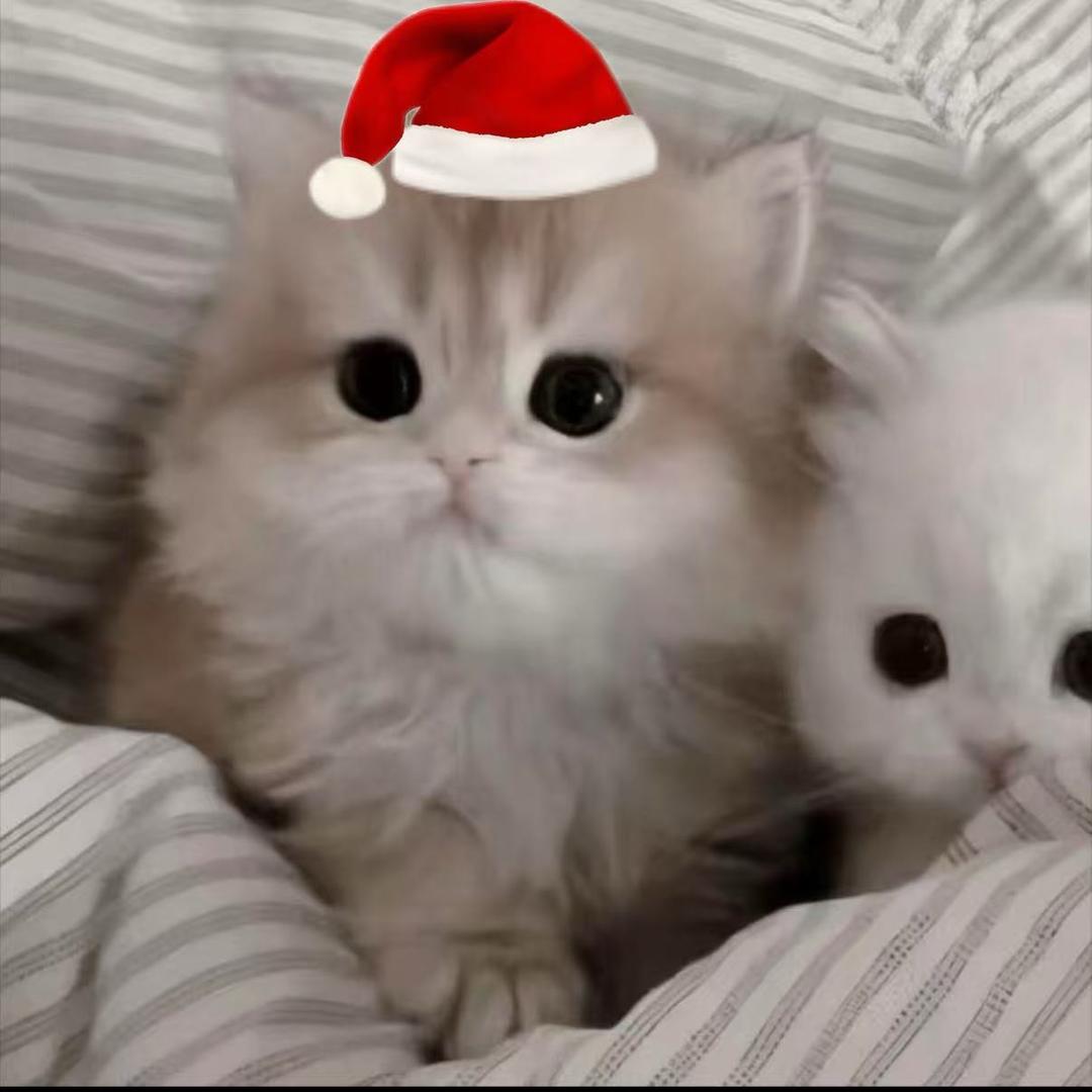 丰富的廉价劳动力