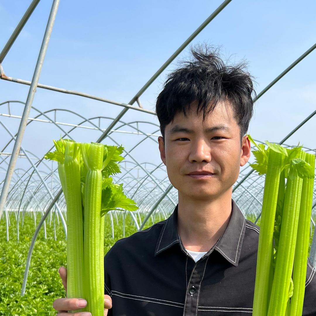 农村富贵