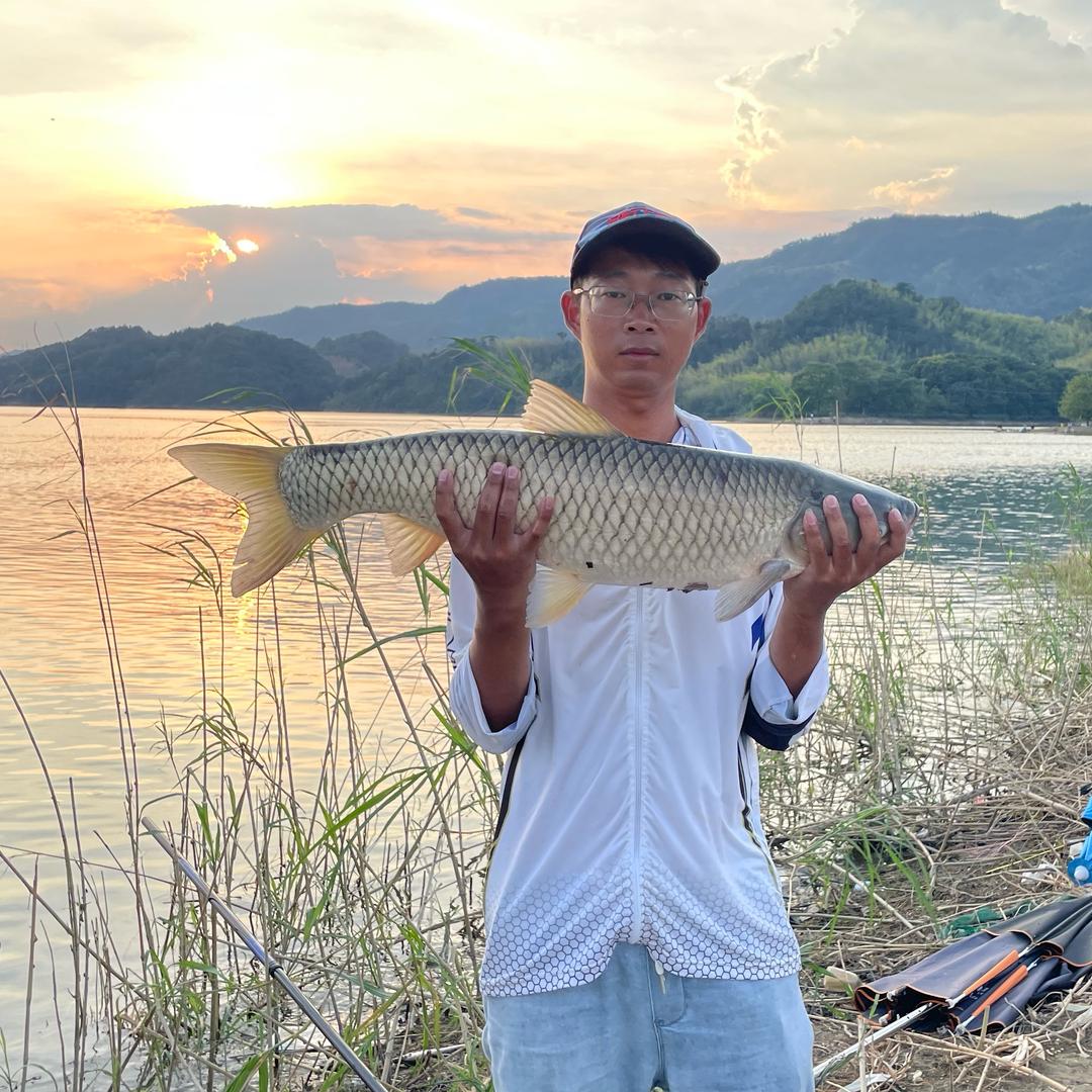 白条荒野垂钓生活