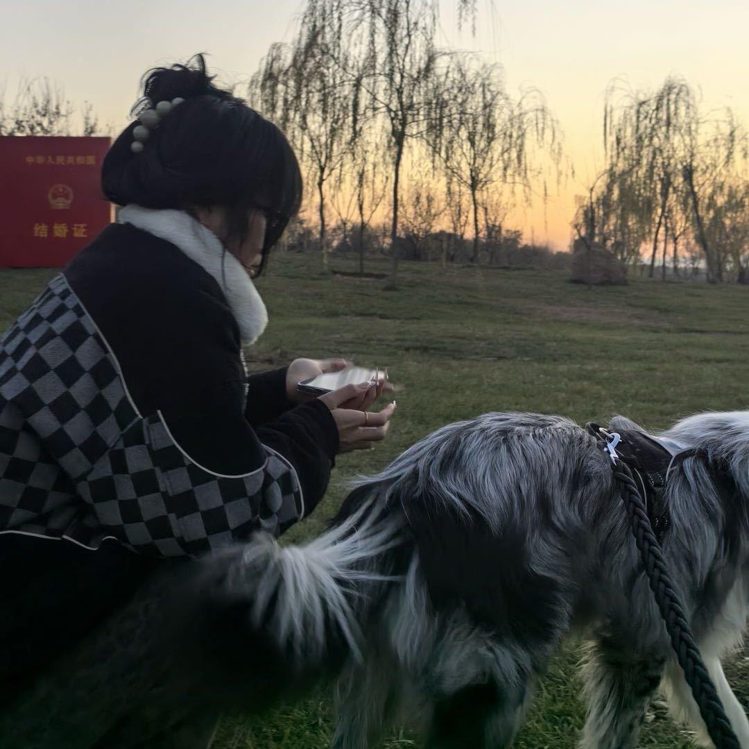 孟qian-