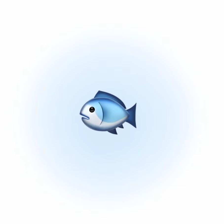 好多宇🐟