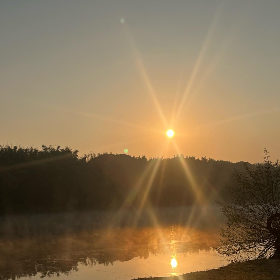 默默无文女士い