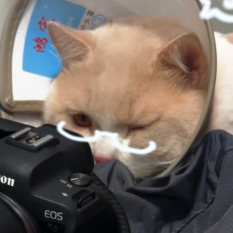 泡泡球