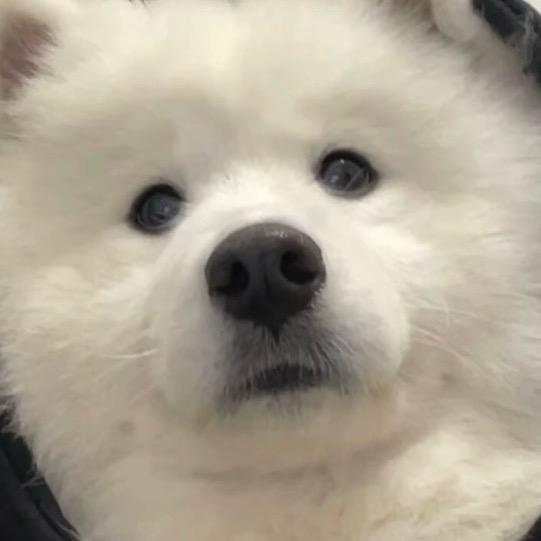 吹箫