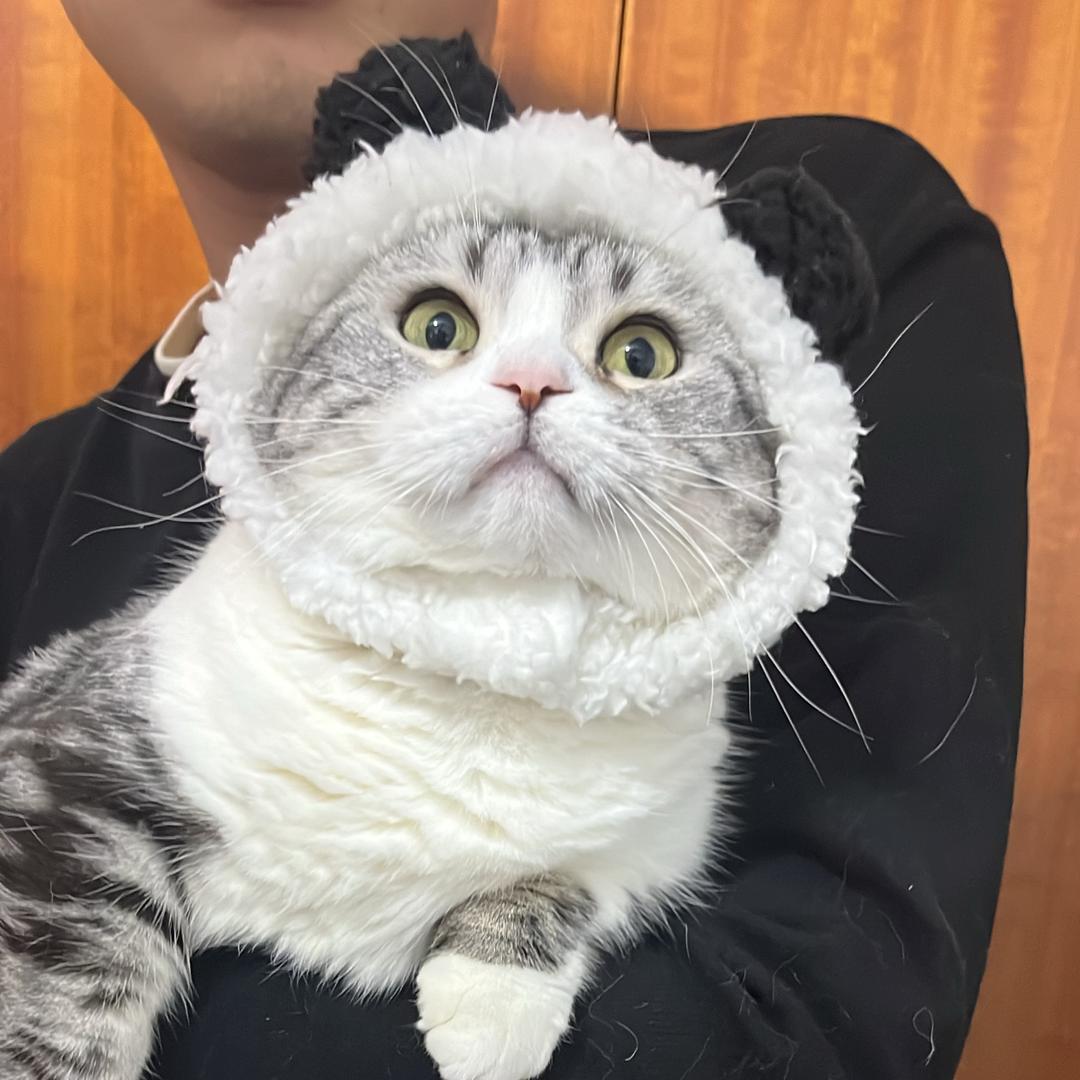 大月的救赎