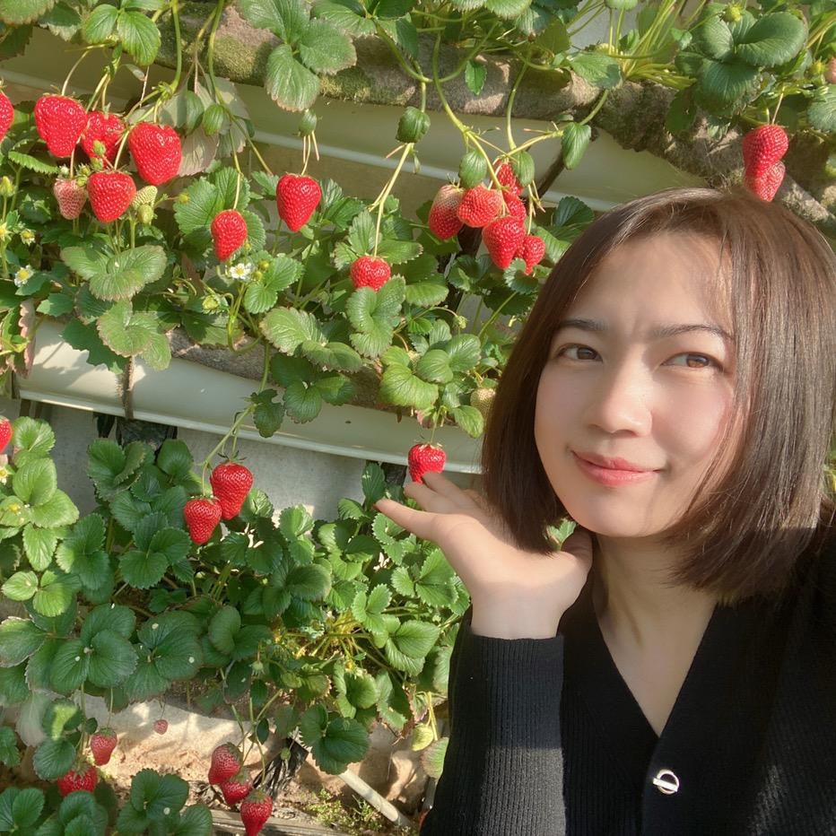 草莓日记