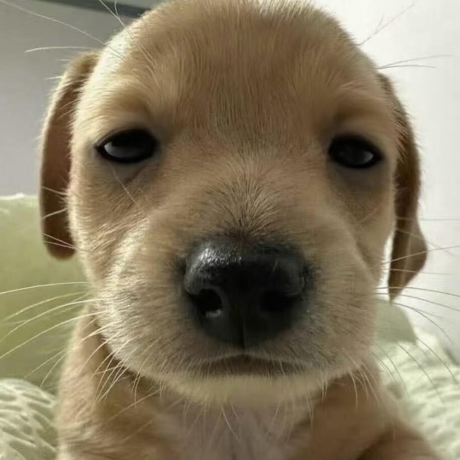 \(≧▽≦)/