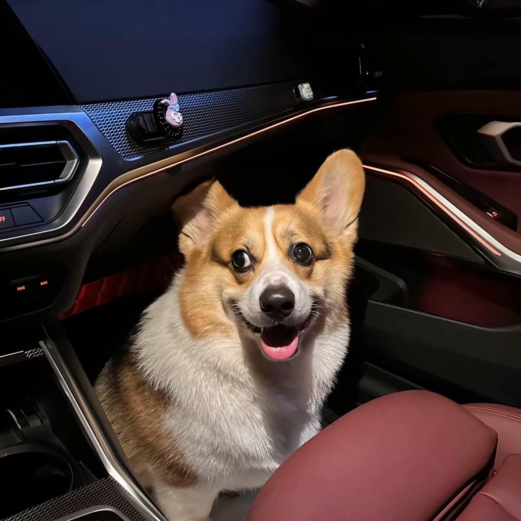 aaa
