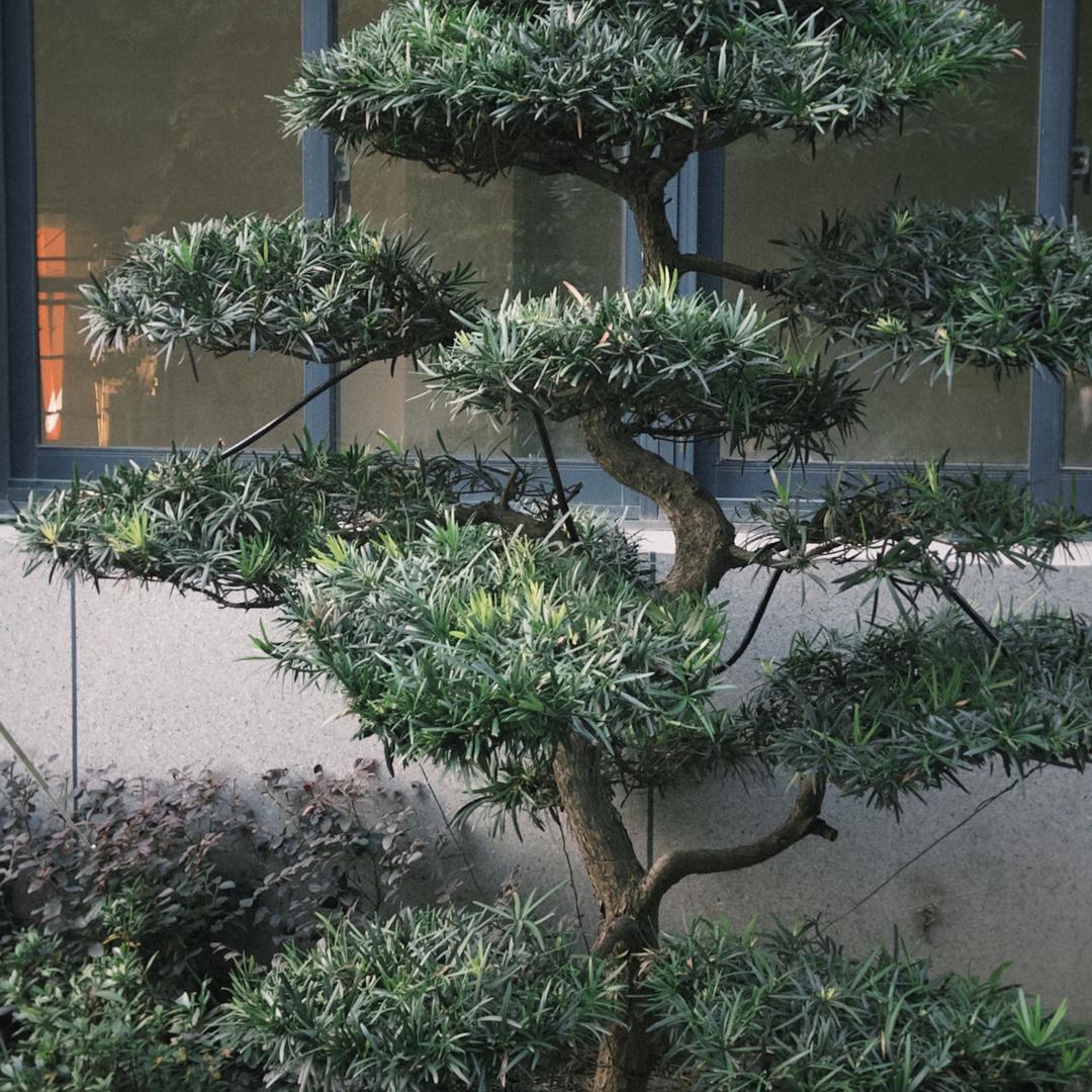 小金爱生活