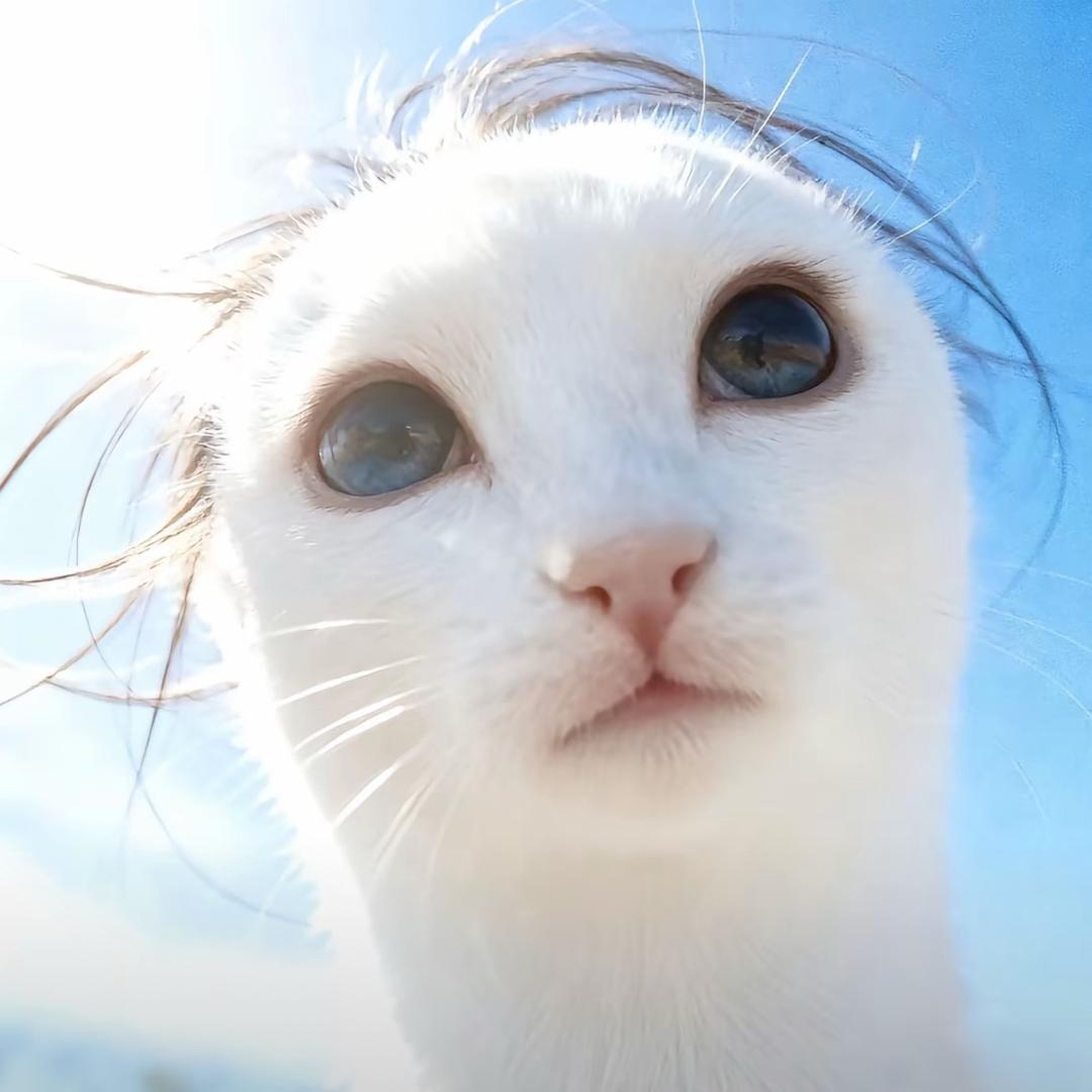 重起的恶魔
