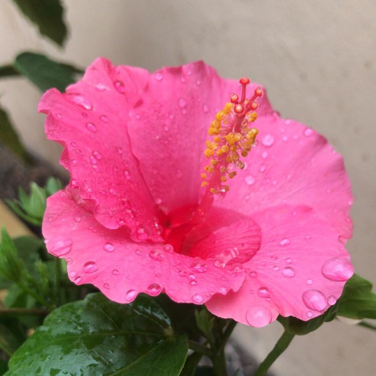 我是一片云