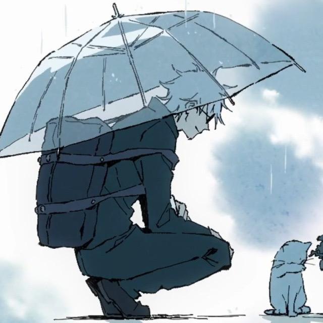 树街猫