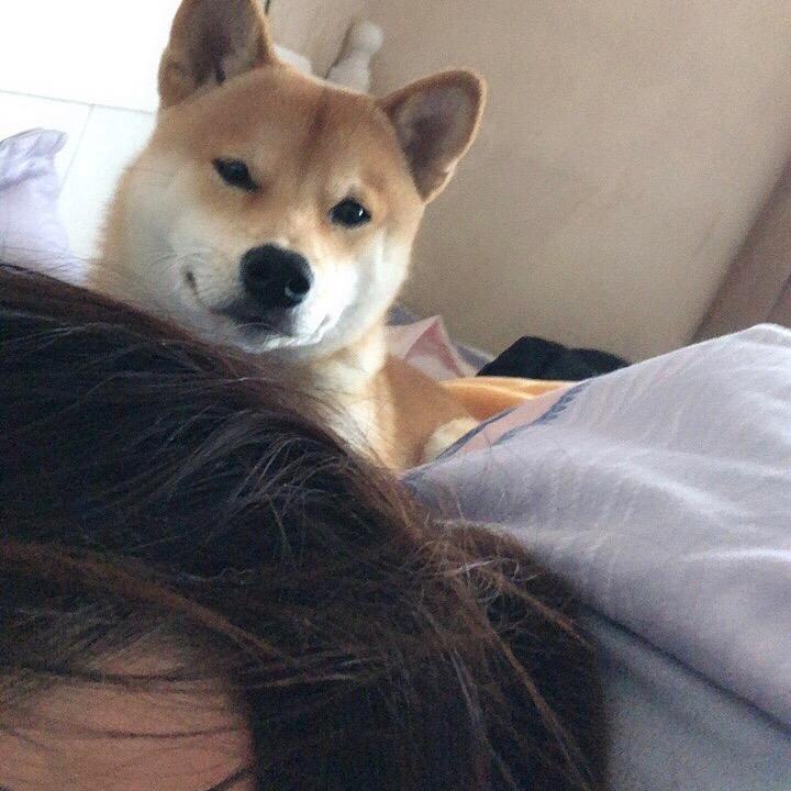 小困鱼୧⍤⃝🌈