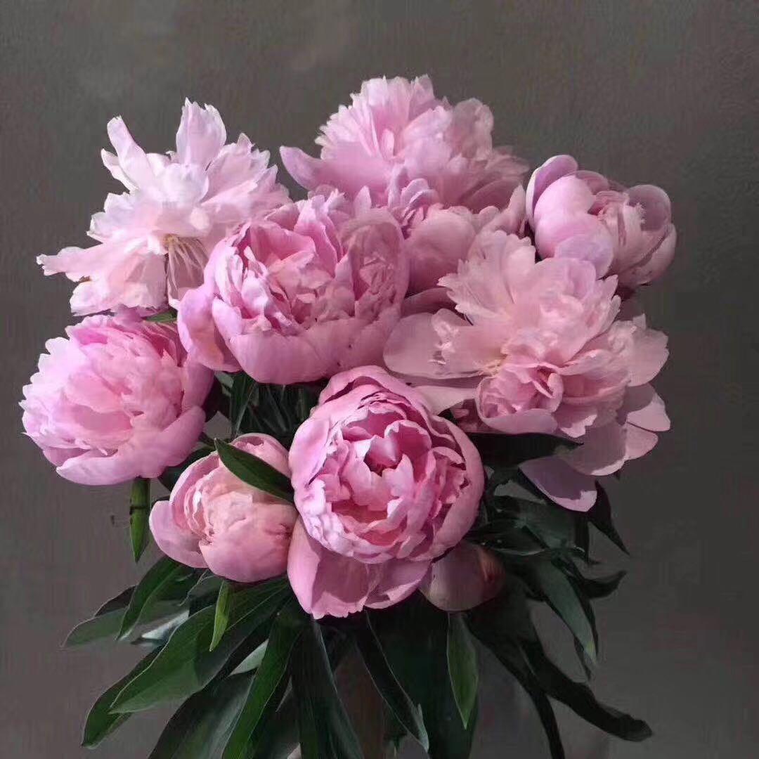 亿花