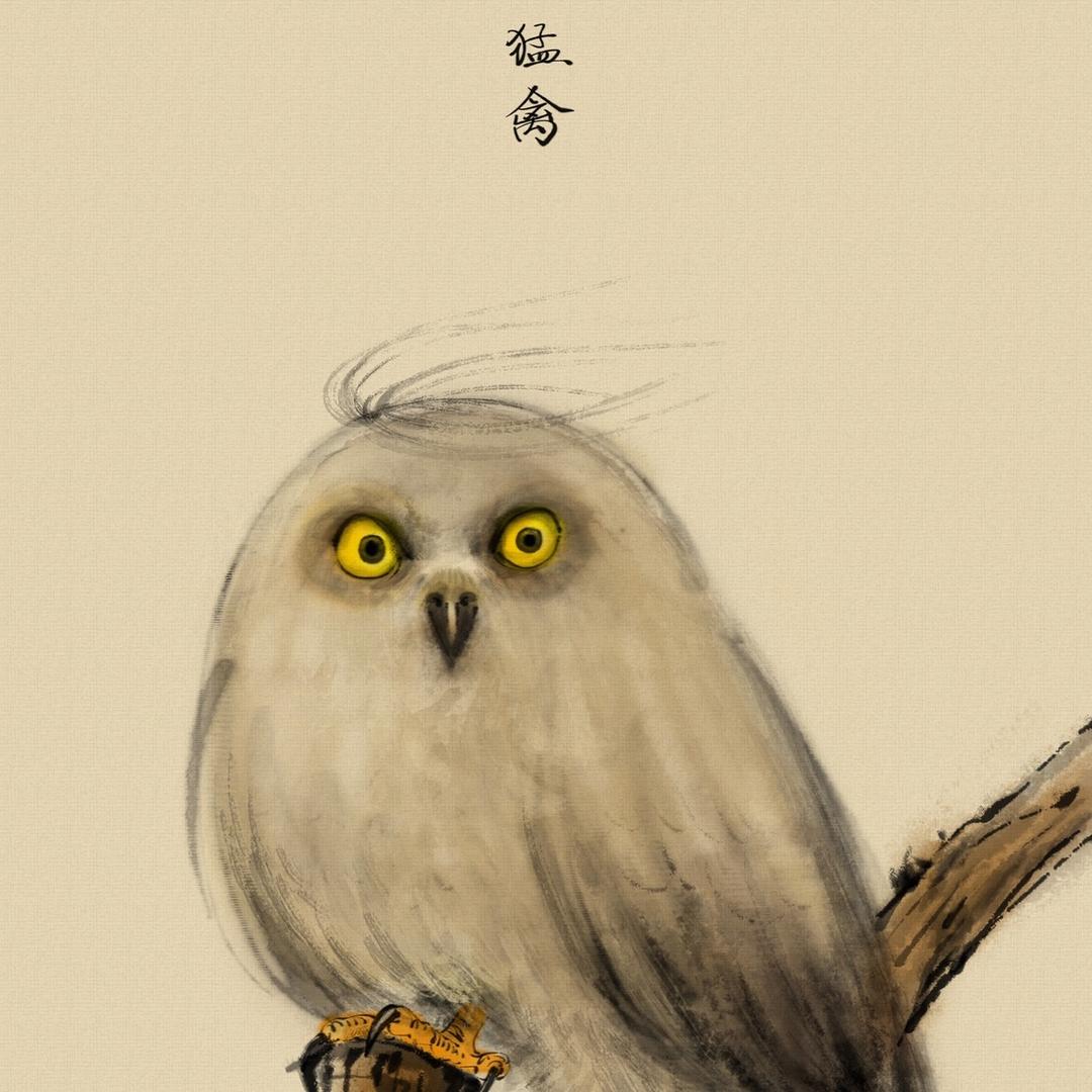 白菜q