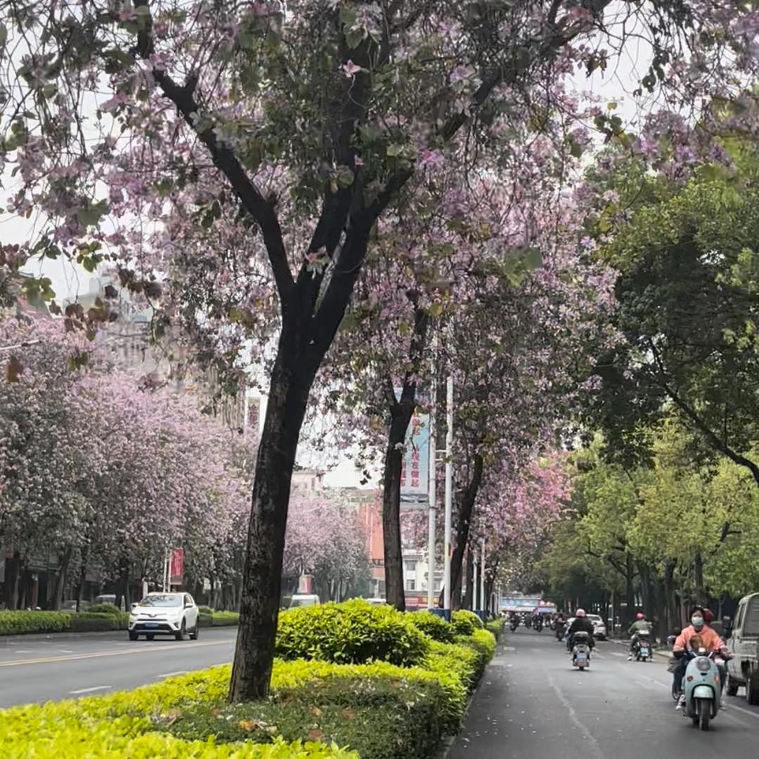 小小永