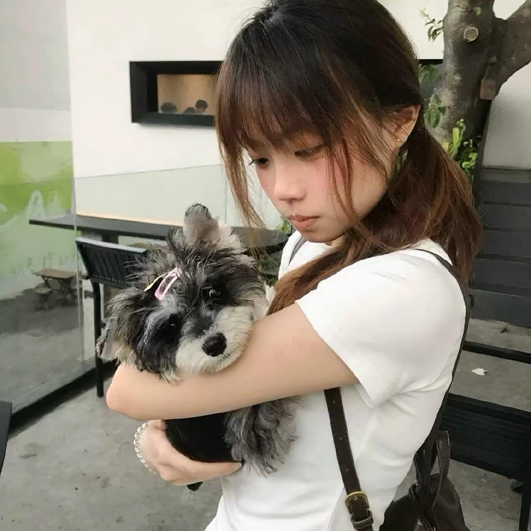 败降