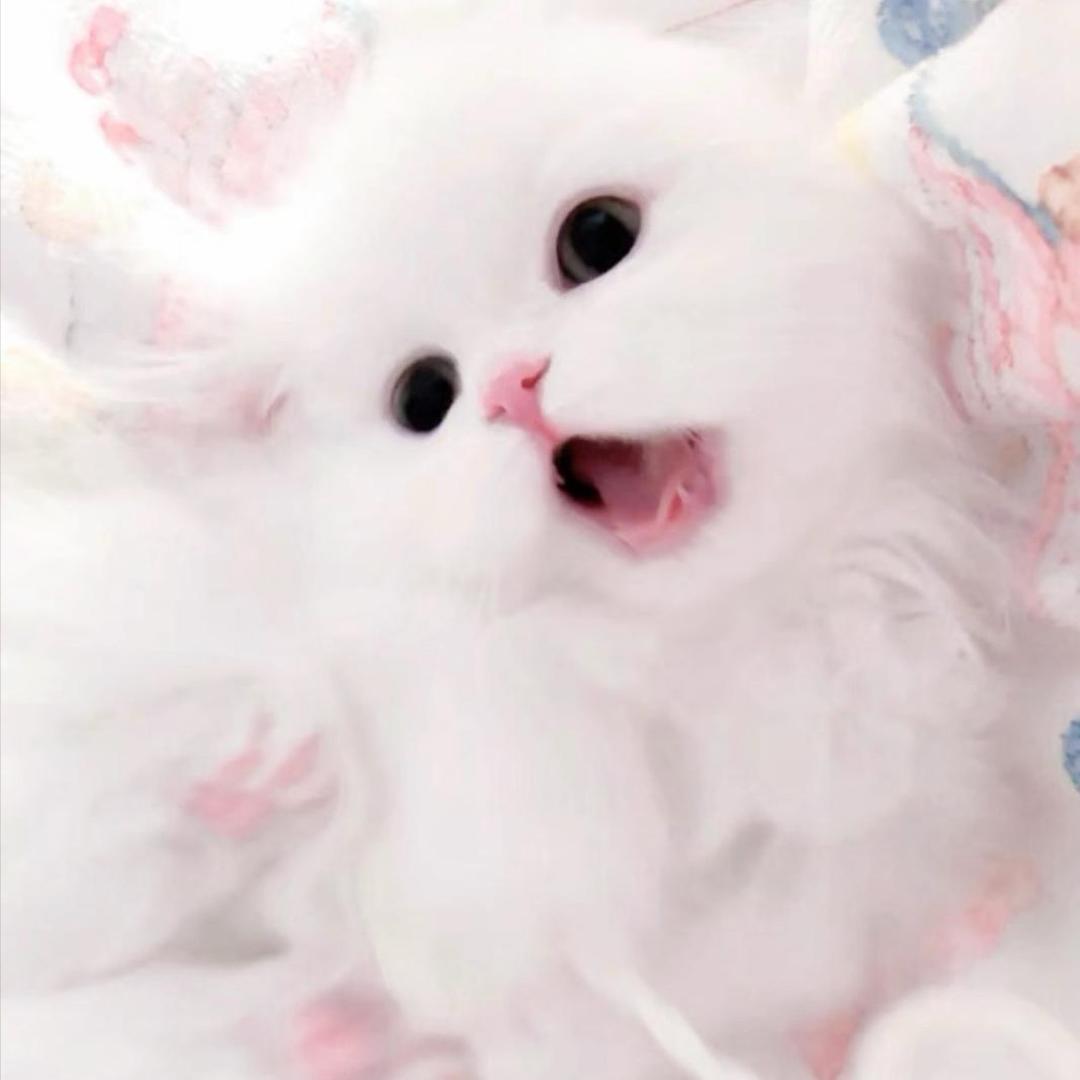 你怎么这样