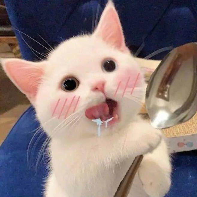 番茄鱼