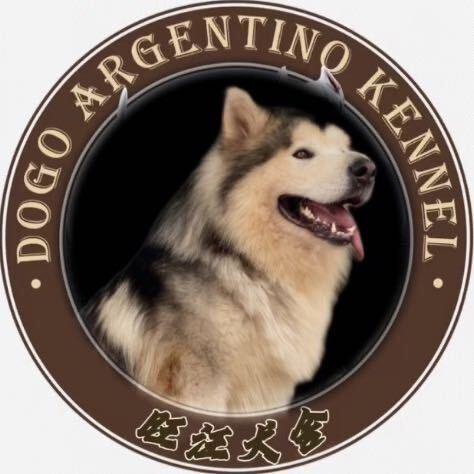 爱犬（宠物批发）