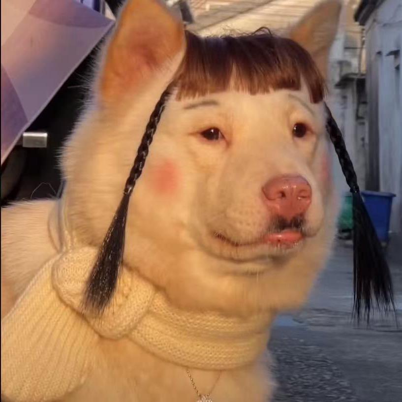 阿呆不呆🐰