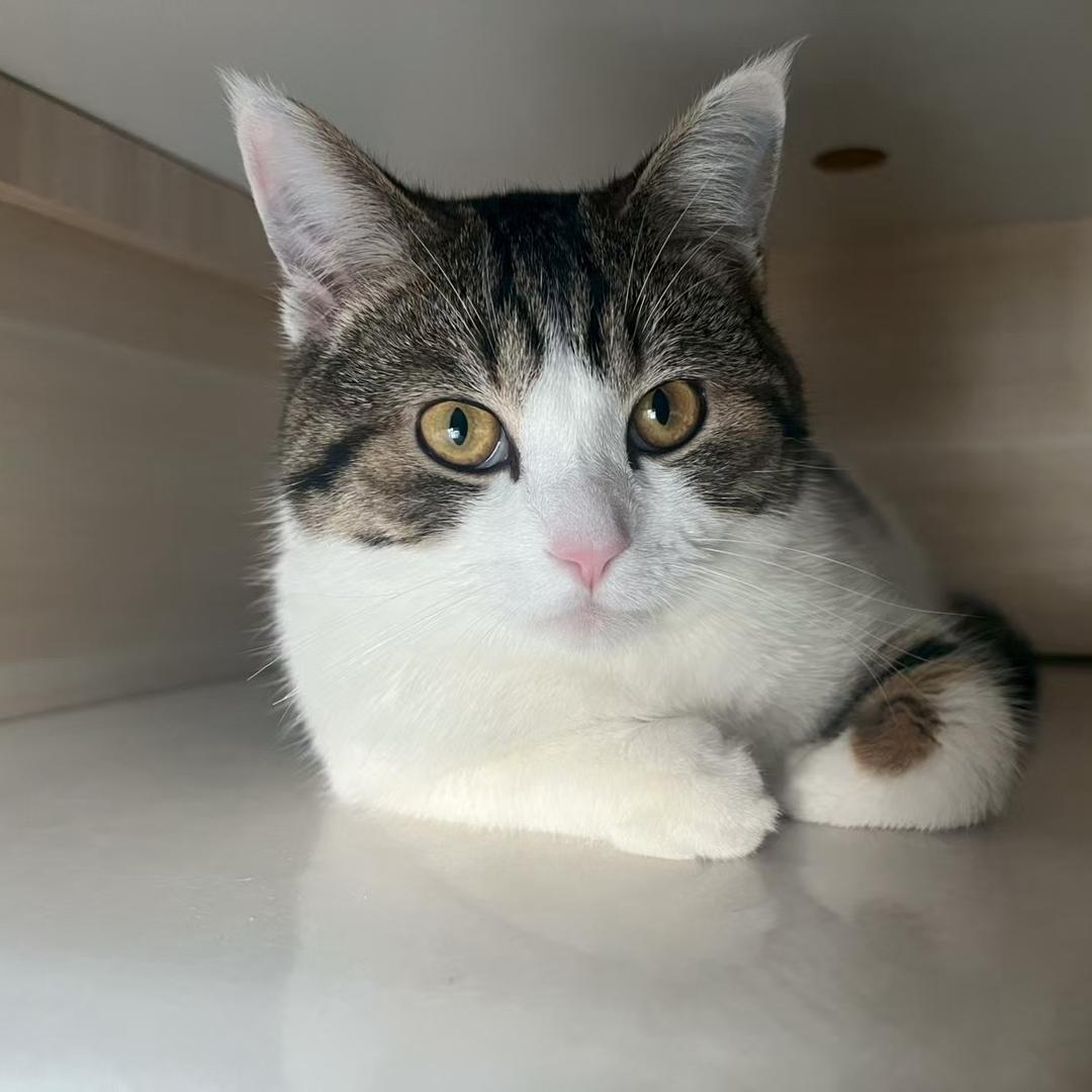 o▬▬▬▬▬▬▬◙▅▅▆▆▇▇◤60米