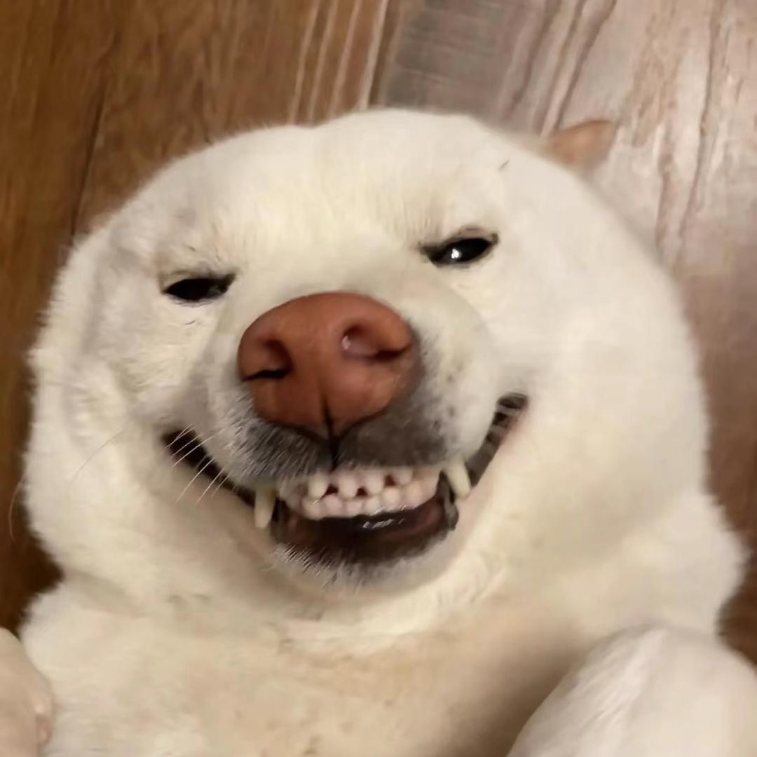 黑化小狗