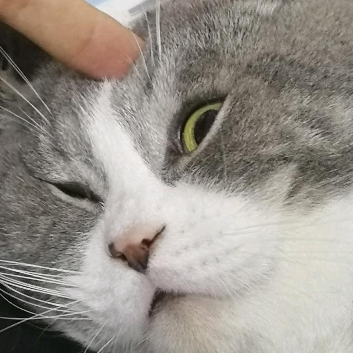 超级无敌爱吃三文鱼（种地版）