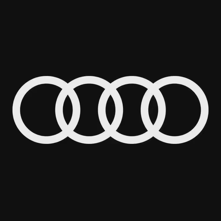 广州海珠晨峰奥迪