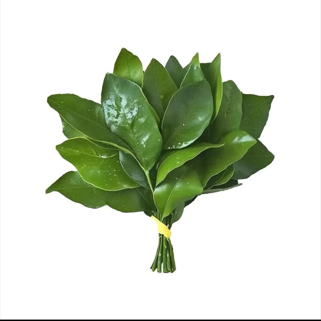 ￴ ￴ ￴ ￴￴ ￴ ￴