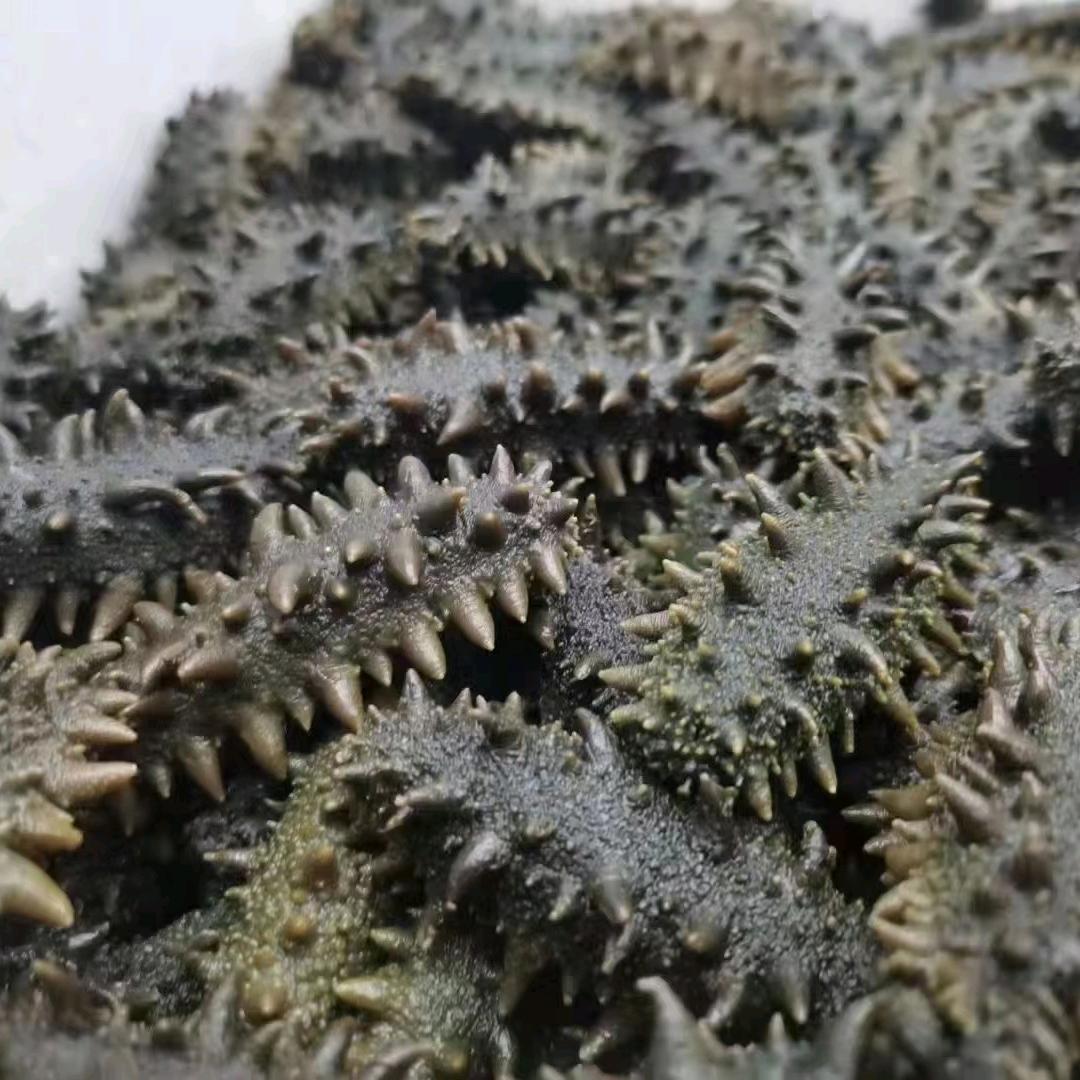 大连渔公仔水产优品小铺