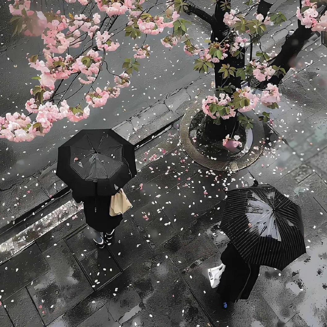 慕
