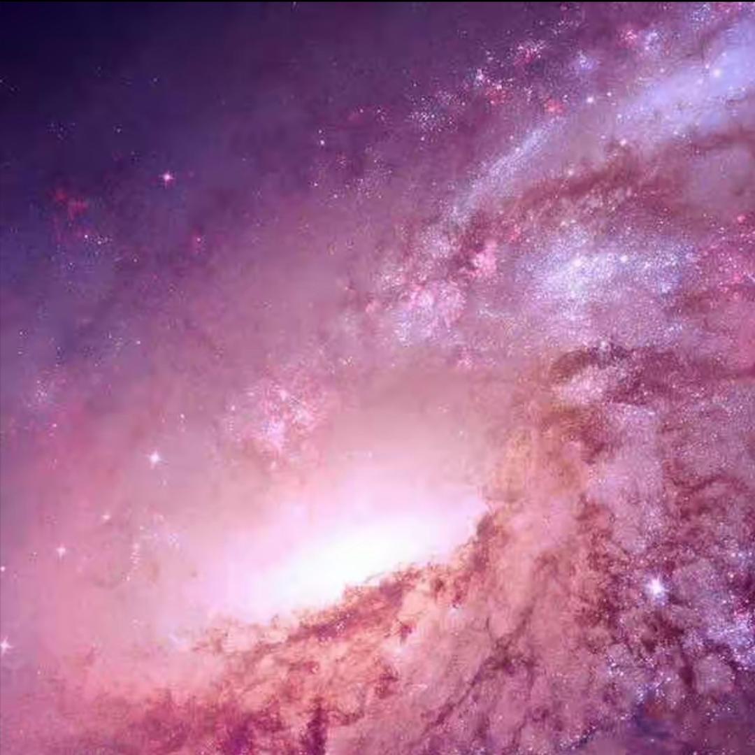 糊弄娃的小灶台