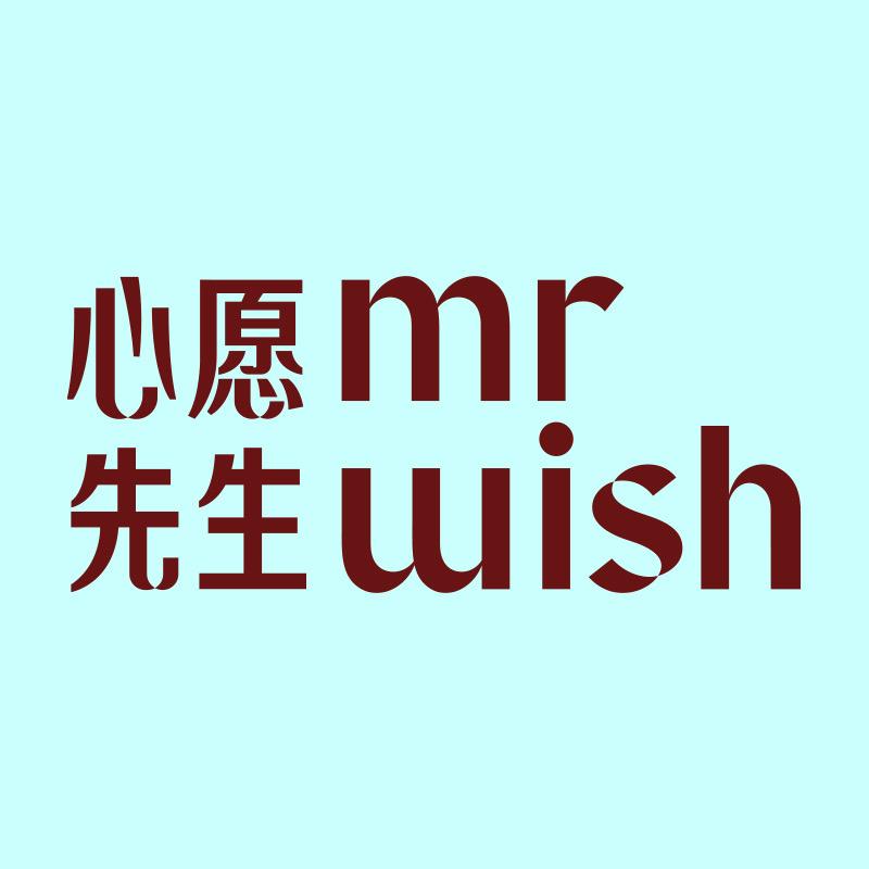 心愿先生Mr.wish官方店