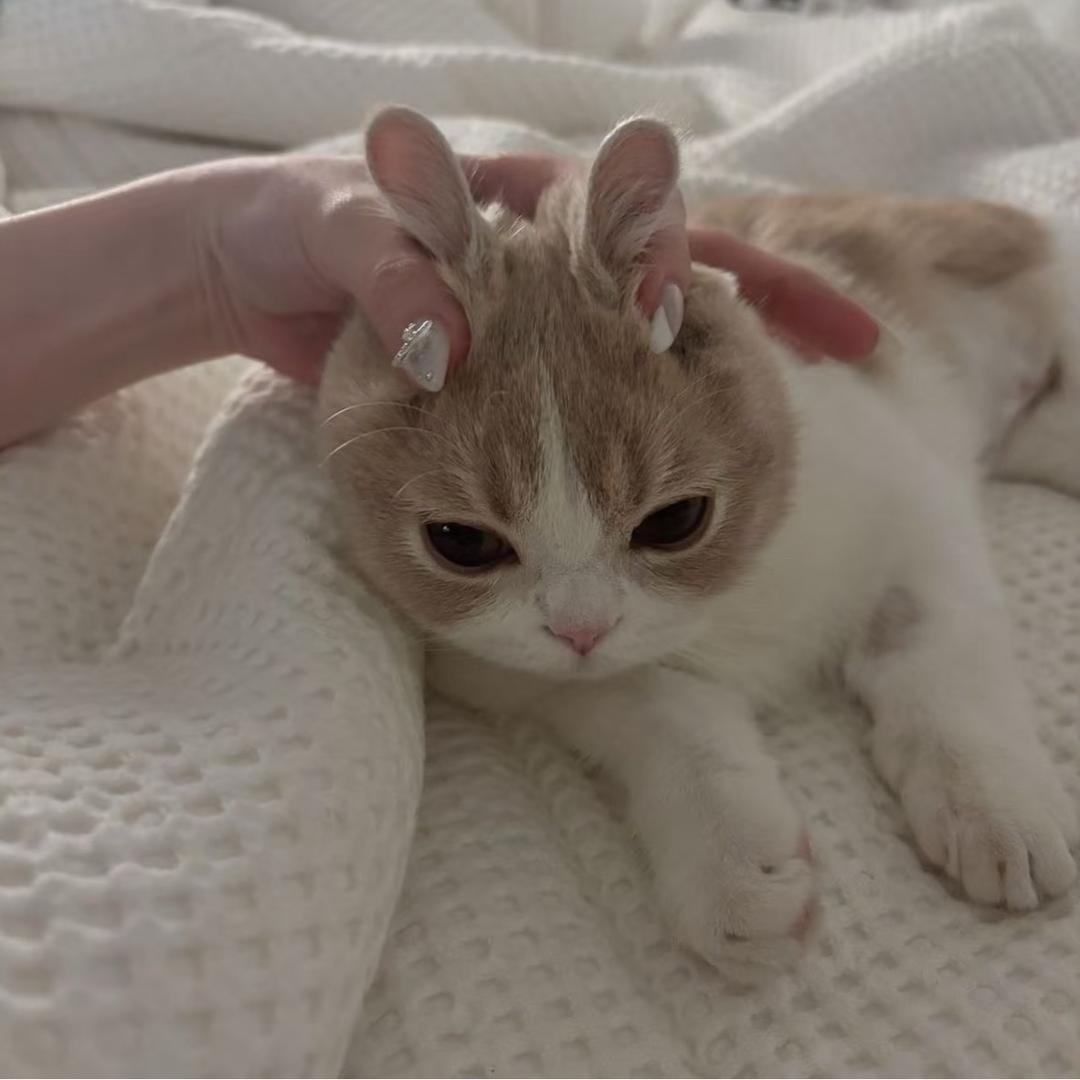 kyung