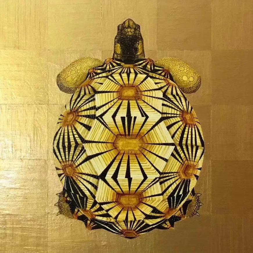 手毅人爬宠标本工作室