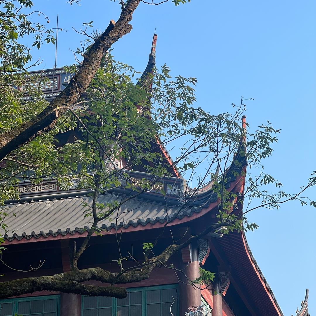 不夜跑会死