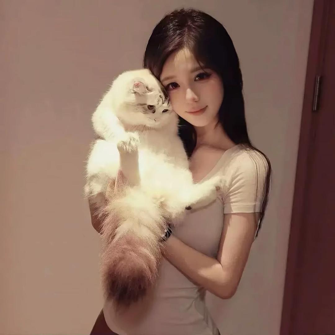 小猫☃️