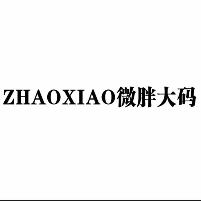 ZX微胖大码(肥乡邑城小区店）