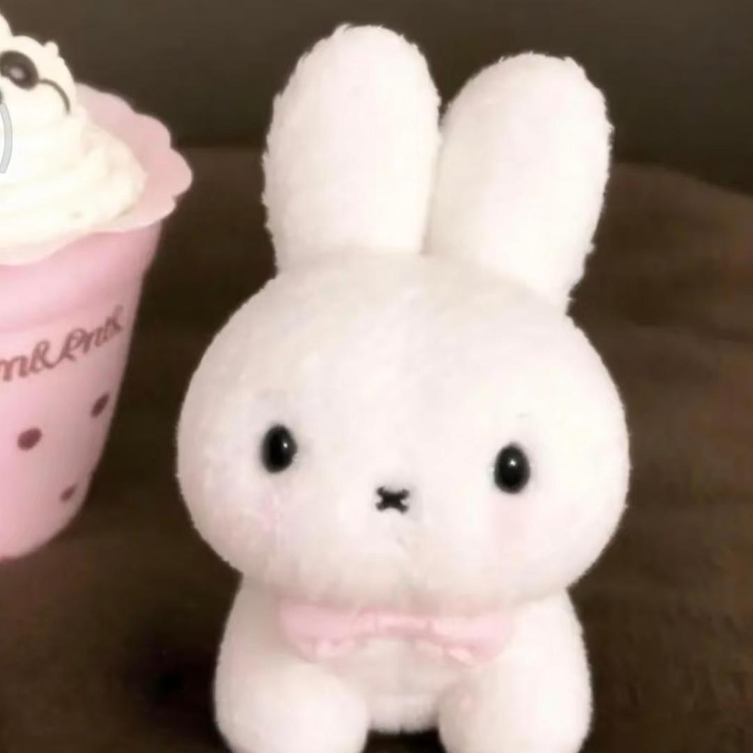 曲奇🐰