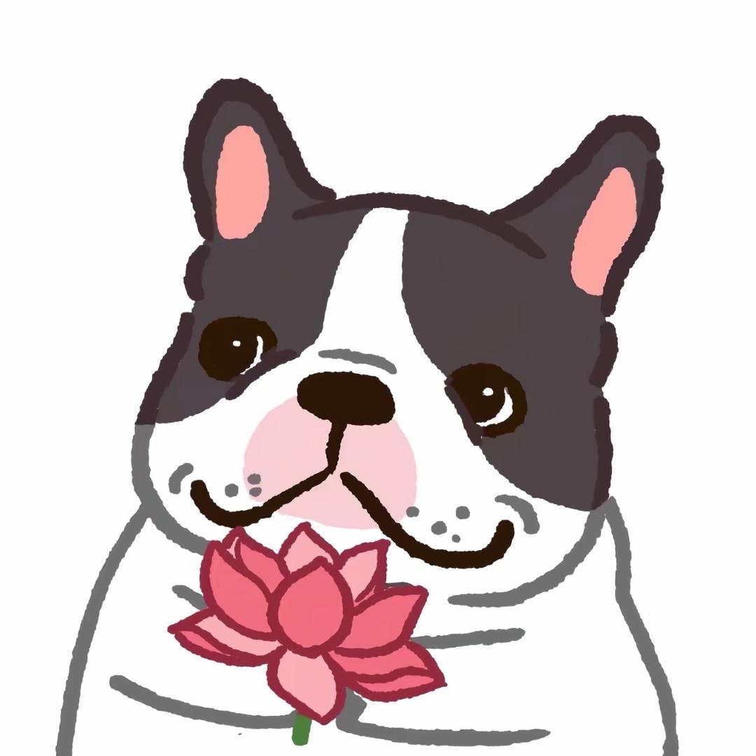 袁亦菲