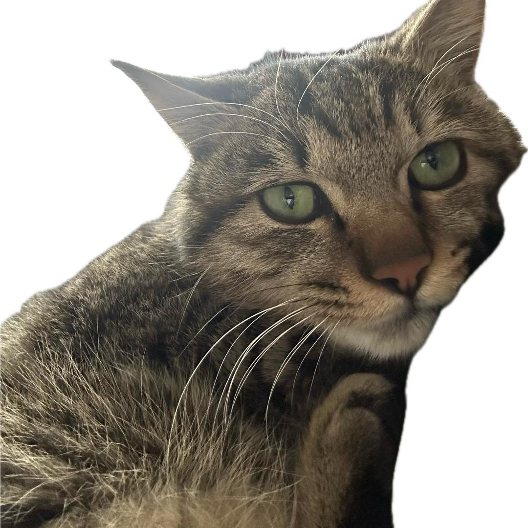Kee