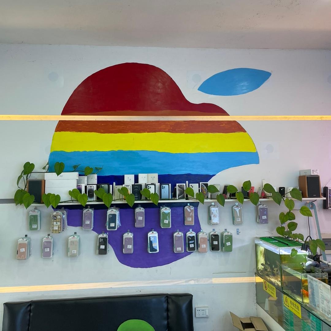 会修手机的路亚小白