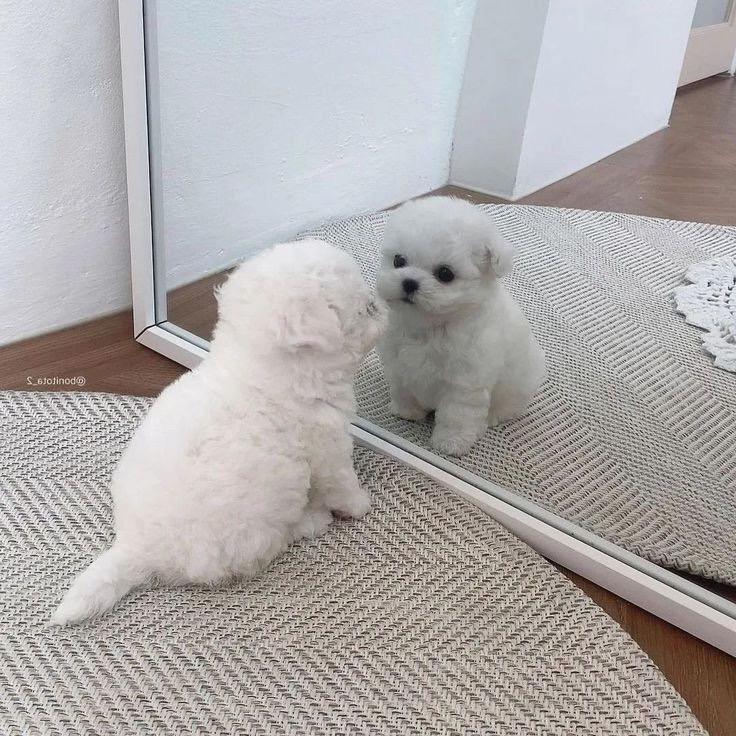 伊二三四五六七