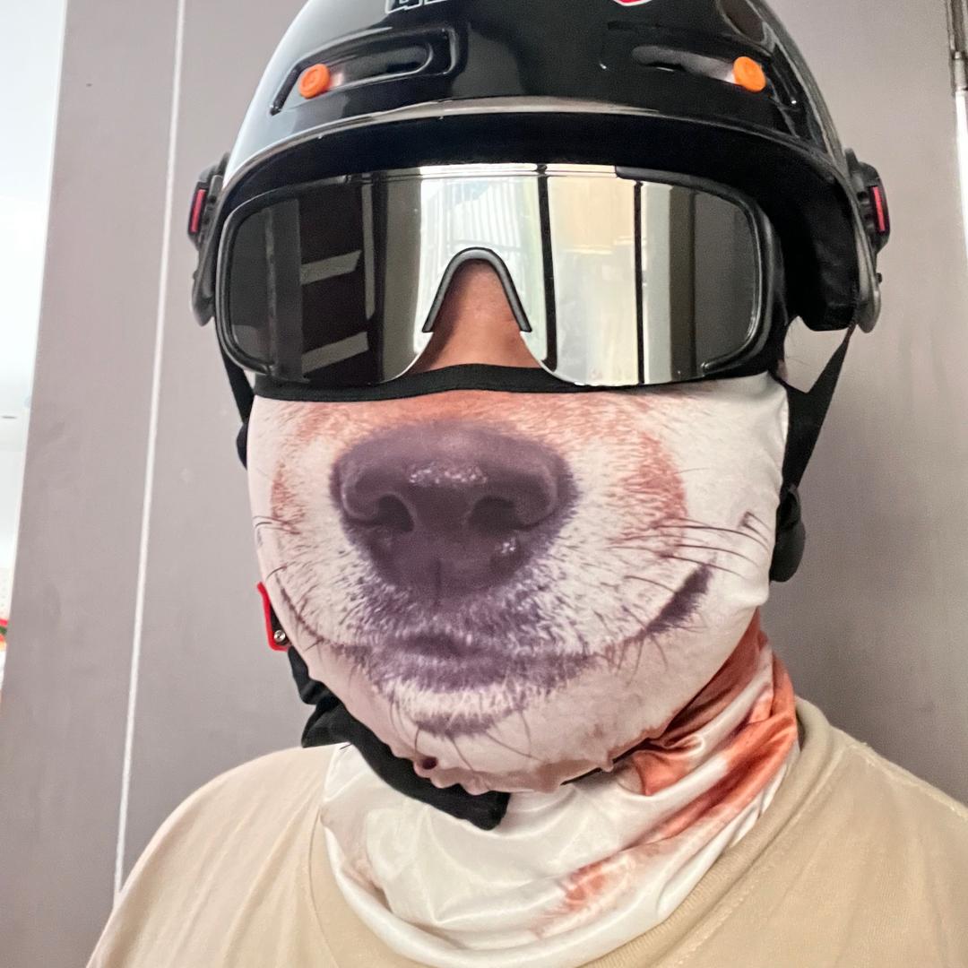 不二🐶