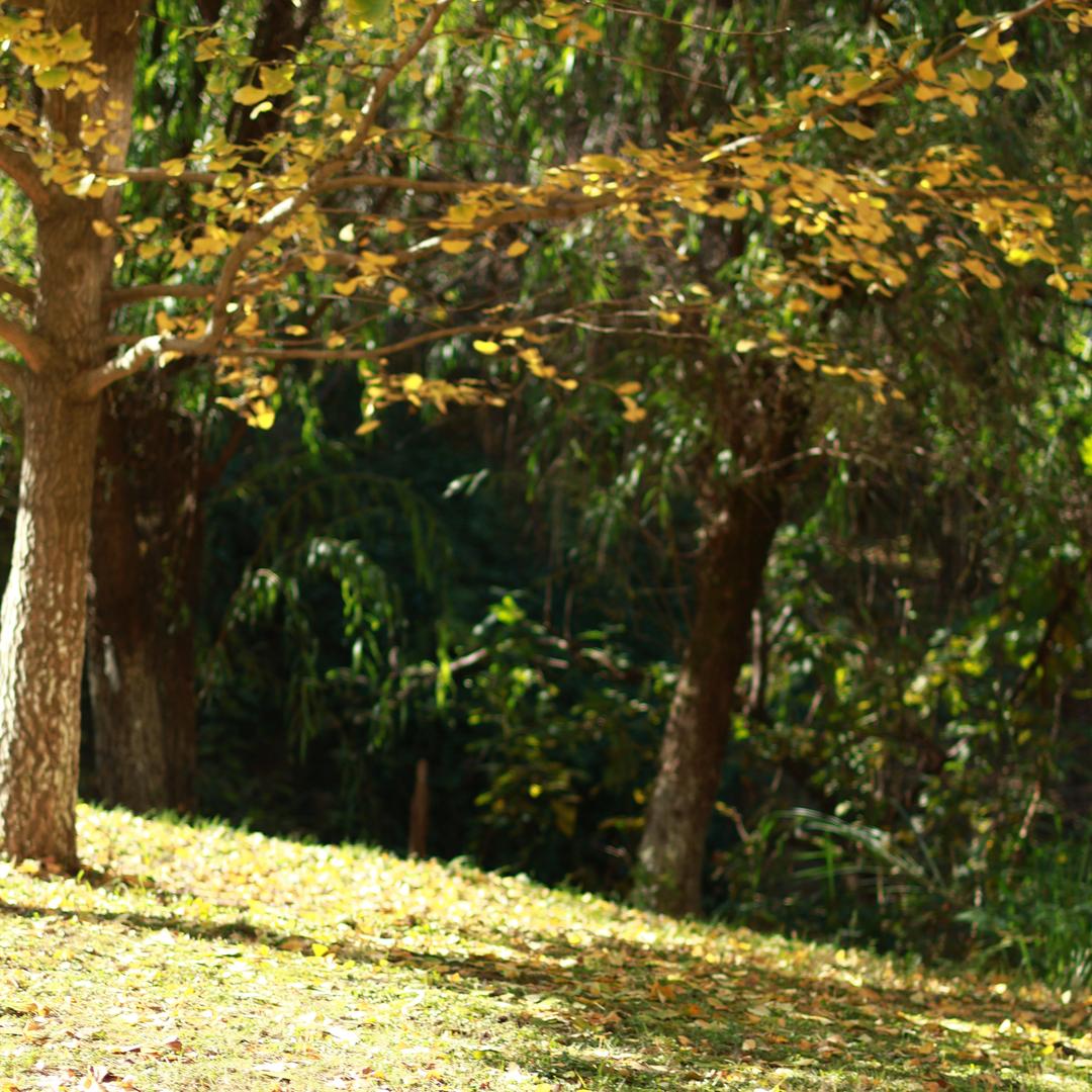 臭美的摄影师📹